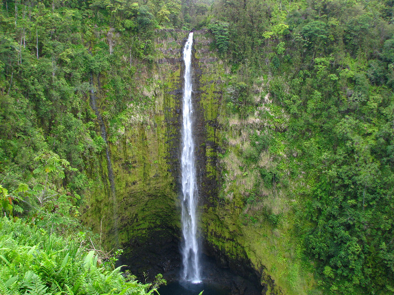 Akaka-Falls-State-Park-Honomu-Big-Island-Hawaii-014