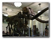 American-Museum-of-Natural-History-Manhattan-NYC-060