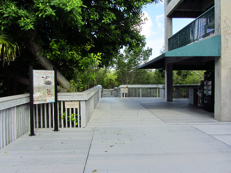 Anne-Kolb-Nature-Center-West-Lake-Park-Hollywood-FL-006