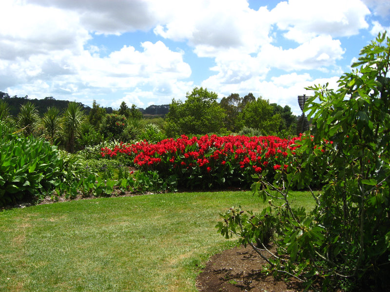 Auckland-Botanic-Gardens-Manukau-North-Island-New-Zealand-010