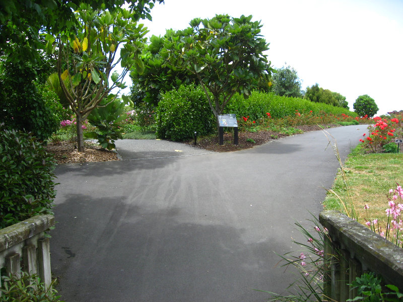 Auckland-Botanic-Gardens-Manukau-North-Island-New-Zealand-046