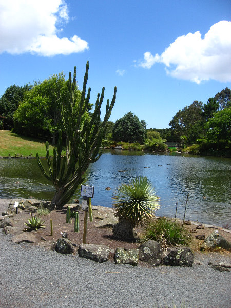 Auckland-Botanic-Gardens-Manukau-North-Island-New-Zealand-106