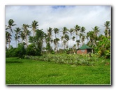 Bibis-Hideaway-Matei-Taveuni-Island-Fiji-075