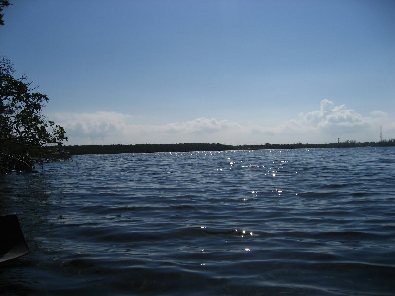 Buttonwood-Sound-Kayaking-Key-Largo-FL-017