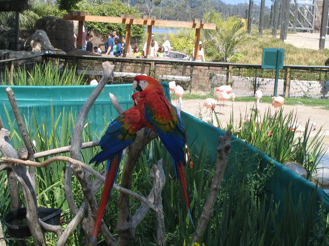Santa-Barbara-Zoo-07