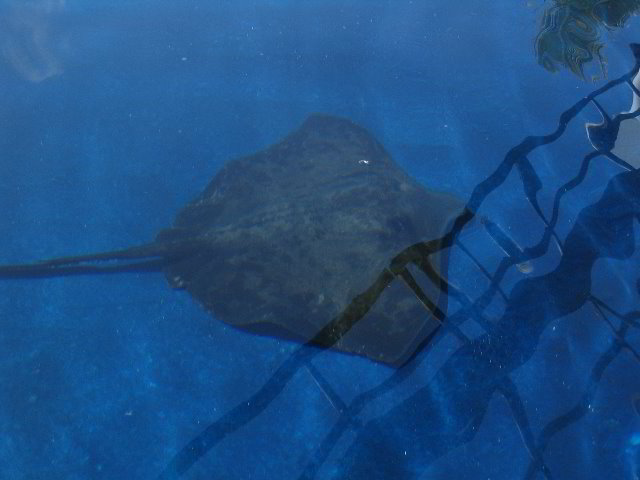 Interactive-Aquarium-La-Isla-Cancun-12