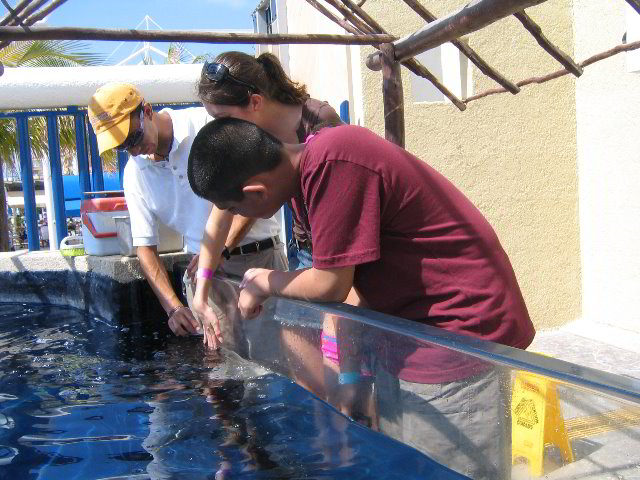 Interactive-Aquarium-La-Isla-Cancun-14