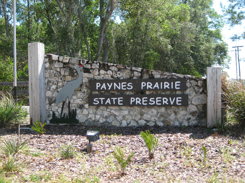 Chacala-Trail-Paynes-Prairie-Preserve-State-Park-Micanopy-FL-002
