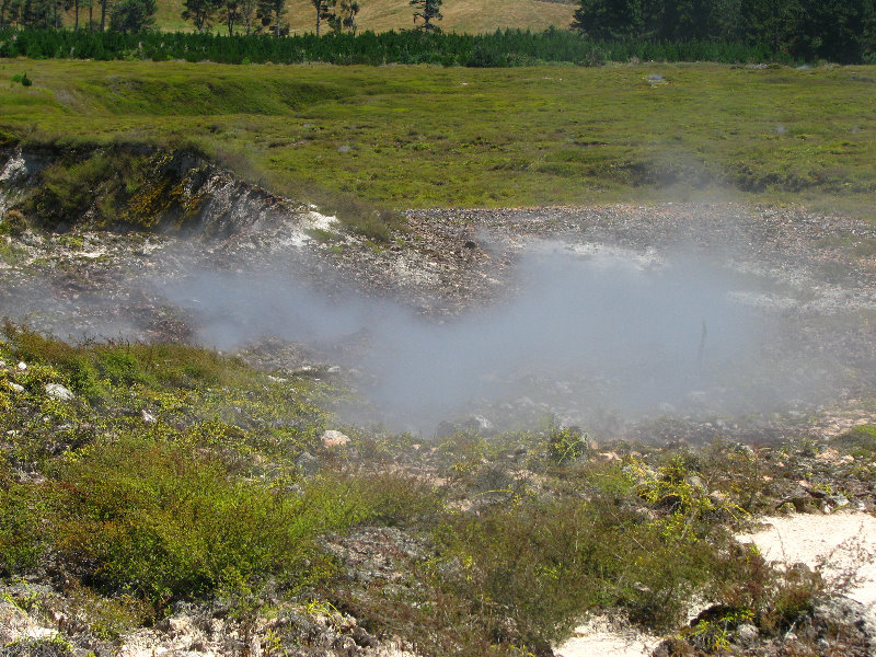 Craters-of-the-Moon-Geothermal-Walk-Taupo-New-Zealand-027