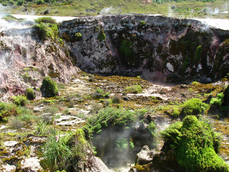 Craters-of-the-Moon-Geothermal-Walk-Taupo-New-Zealand-039