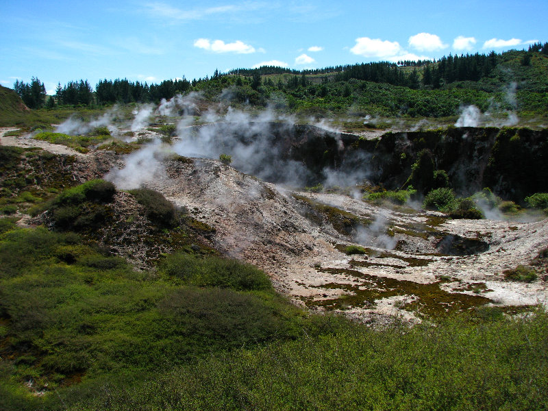 Craters-of-the-Moon-Geothermal-Walk-Taupo-New-Zealand-042