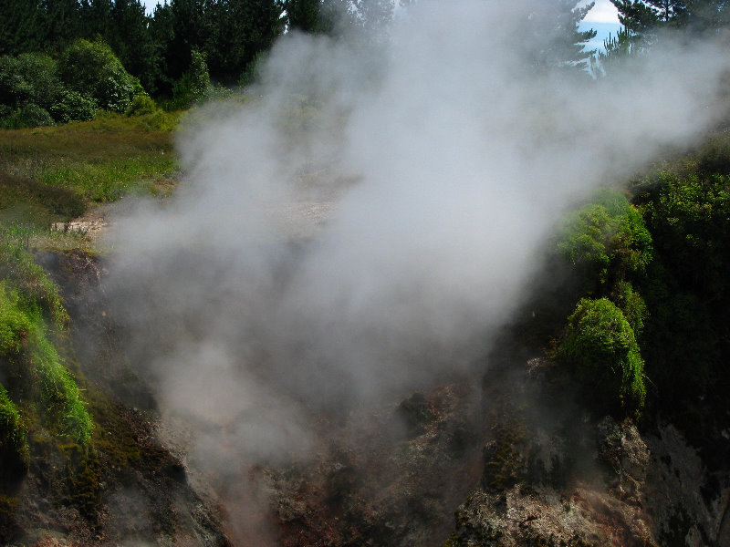 Craters-of-the-Moon-Geothermal-Walk-Taupo-New-Zealand-057