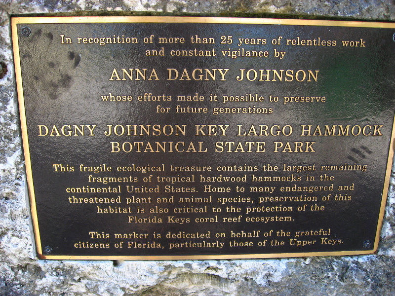 Dagny-Johnson-Key-Largo-Hammock-Botanical-State-Park-003