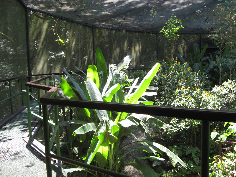 Fincas-Naturales-Butterfly-Garden-Costa-Rica-006