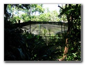 Fincas-Naturales-Butterfly-Garden-Costa-Rica-004
