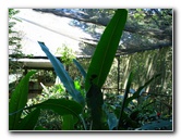 Fincas-Naturales-Butterfly-Garden-Costa-Rica-008