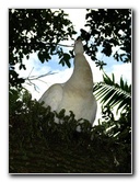 Flamingo-Gardens-Davie-FL-079