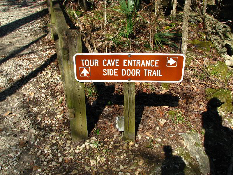 Florida-Caverns-State-Park-Marianna-FL-033