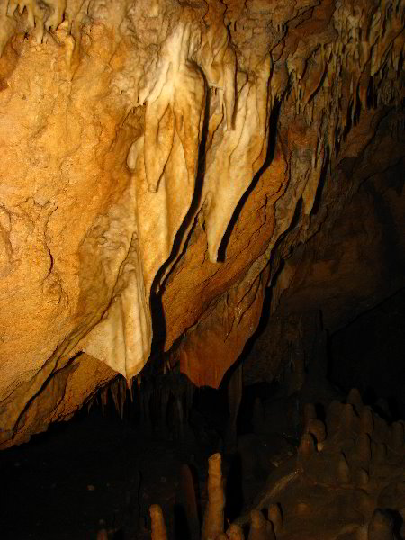 Florida-Caverns-State-Park-Marianna-FL-043