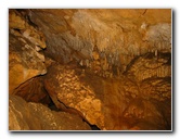 Florida-Caverns-State-Park-Marianna-FL-135