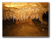 Florida-Caverns-State-Park-Marianna-FL-143