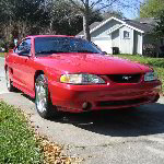 1994 Ford Mustang Cobra For Sale In Gainesville Florida