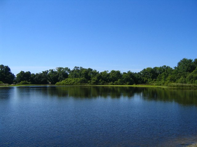 Lake-Alice-Gainesville-2006-29