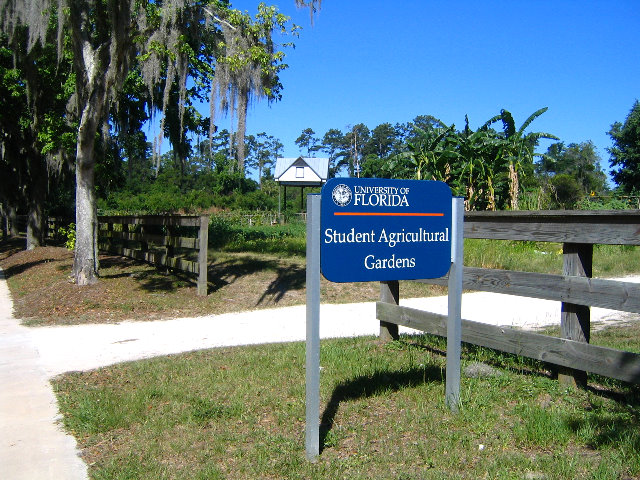 Gainesville-Student-Agricultural-Gardens-01