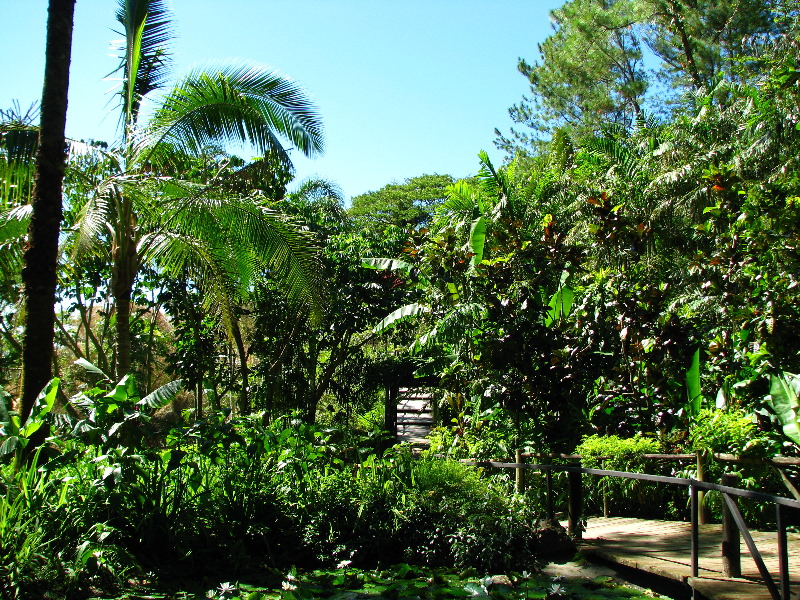 Garden-of-the-Sleeping-Giant-Nadi-Viti-Levu-Fiji-024