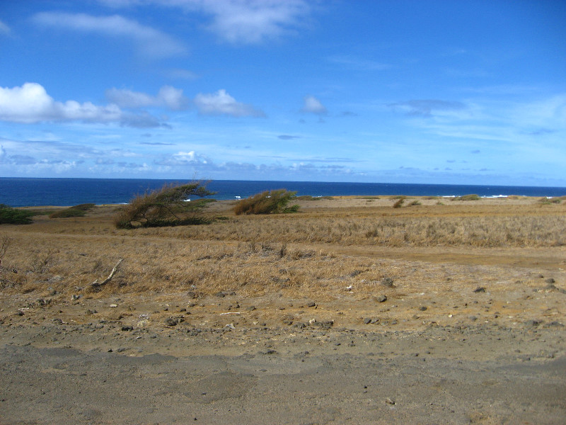 Green-Sand-Beach-South-Point-Big-Island-Hawaii-015