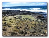 Green-Sand-Beach-South-Point-Big-Island-Hawaii-080