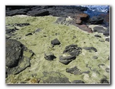 Green-Sand-Beach-South-Point-Big-Island-Hawaii-082