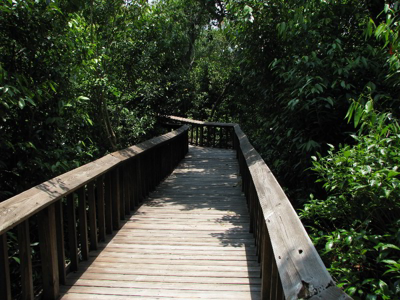 Gumbo-Limbo-Nature-Center-Boca-Raton-FL-001