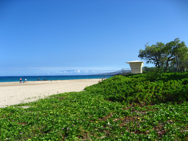 Hapuna-Beach-State-Park-Kamuela-Kohala-Big-Island-Hawaii-010