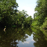 Hillsborough River State Park - Thonotosassa, FL
