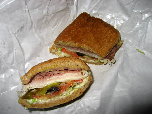 Hogans-Great-Sandwiches-Gainesville-FL-004