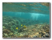 Hookena-Beach-Park-Snorkeling-Big-Island-Hawaii-079
