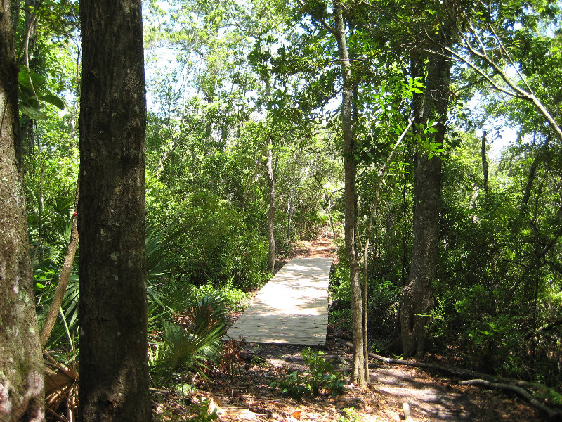 Jacksonville-Arboretum-and-Gardens-Jacksonville-FL-020