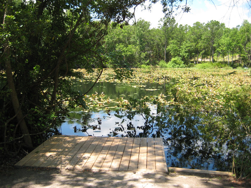 Jacksonville-Arboretum-and-Gardens-Jacksonville-FL-030