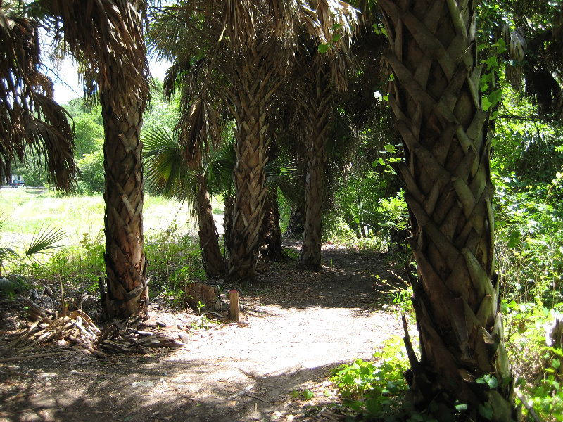 Jacksonville-Arboretum-and-Gardens-Jacksonville-FL-044