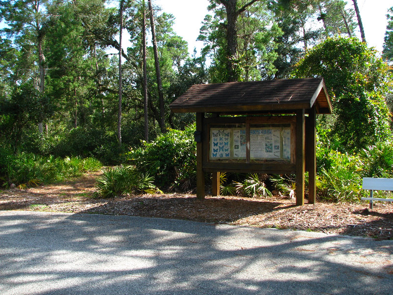 Jay-B-Starkey-Wilderness-Park-Pasco-County-FL-034