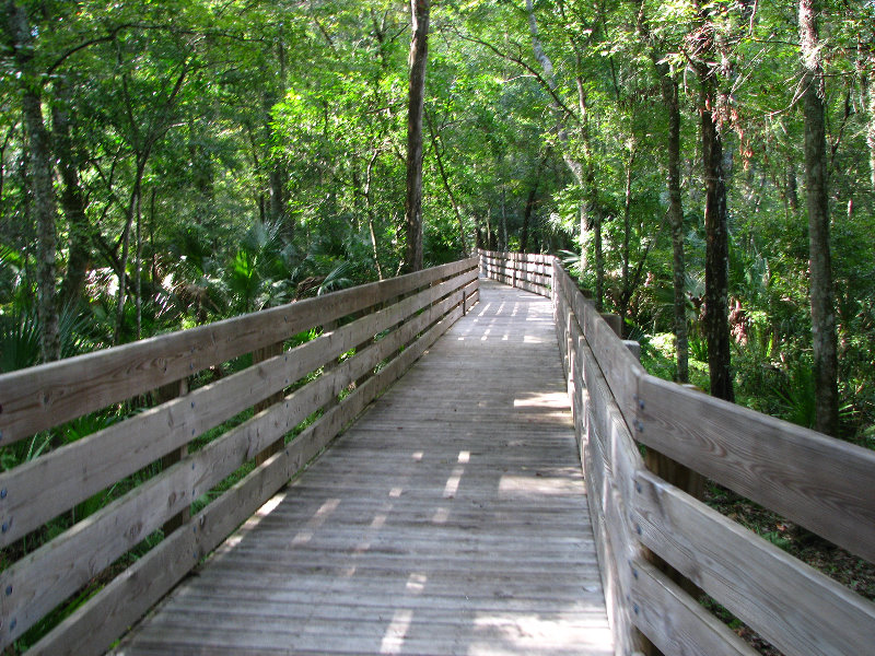 Jay-B-Starkey-Wilderness-Park-Pasco-County-FL-038
