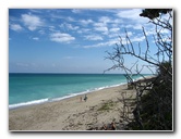 John-D-MacArthur-Beach-State-Park-North-Palm-Beach-FL-043