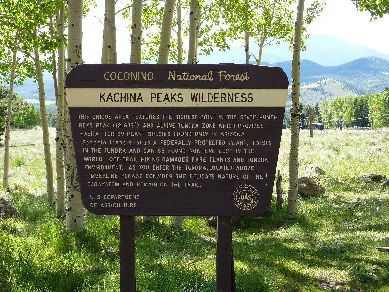 Kachina-Peaks-Wilderness-Coconino-National-Forest-AZ-004