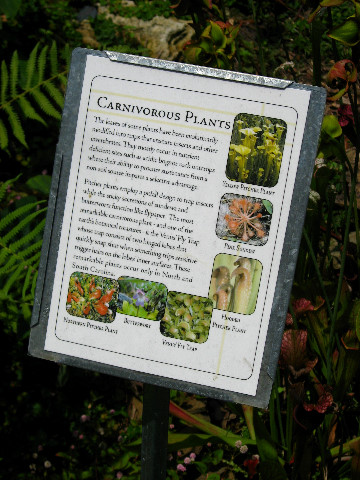Kanapaha-Botanical-Gardens-005