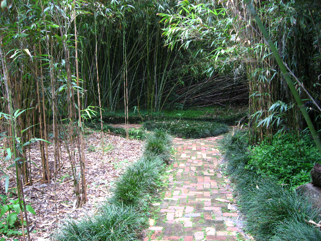 Kanapaha-Botanical-Gardens-132