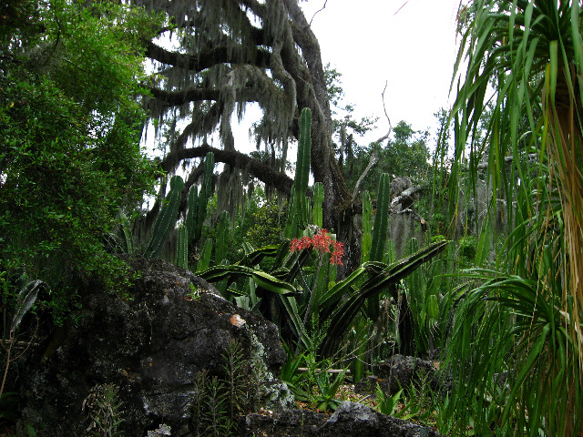 Kanapaha-Botanical-Gardens-171