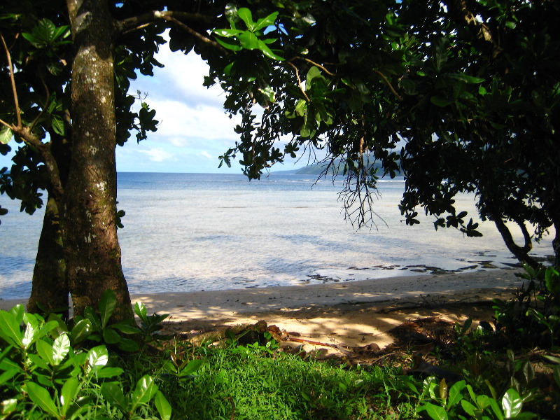 Lavena-Coastal-Walk-Bouma-National-Park-Taveuni-Fiji-018