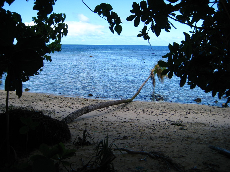 Lavena-Coastal-Walk-Bouma-National-Park-Taveuni-Fiji-029