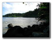 Lavena-Coastal-Walk-Bouma-National-Park-Taveuni-Fiji-135